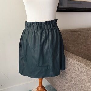 Zara Faux Leather Skirr